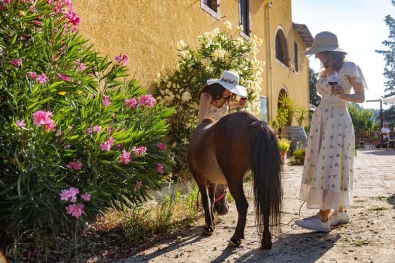 Florence: Farmhouse Picnic surrounded by nature - The Experience in Detail
