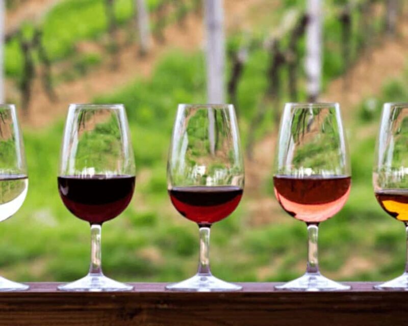 Florence: Half Day Private Tuscany Wine Tour with 2 Wineries - Why You Might Want to Book This Tour