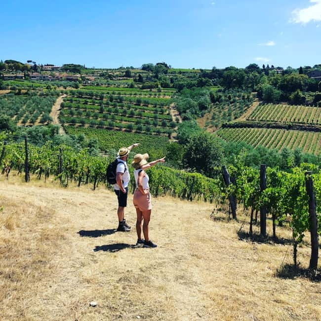 Florence: Hiking Tuscany & Chianti wine 3 wineries and lunch - A Walk Through Tuscany’s Vineyards and Wineries