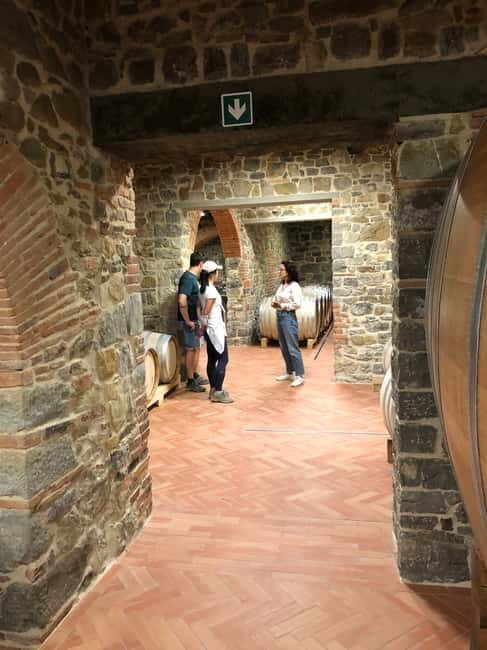 Florence: Hiking Tuscany & Chianti wine 3 wineries and lunch - Who Should Consider This Tour?