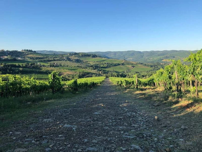 Florence: Hiking Tuscany & Chianti wine 3 wineries and lunch - FAQ