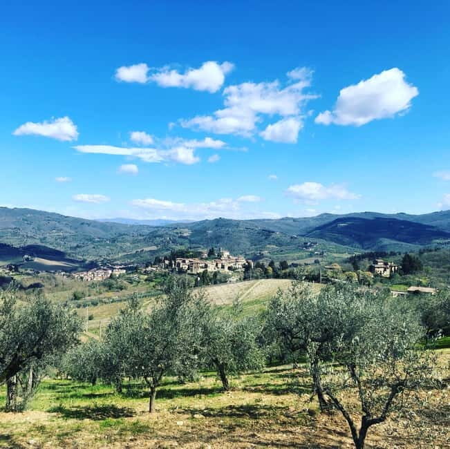 Florence: Hiking Tuscany & Chianti wine 3 wineries and lunch - Final Thoughts