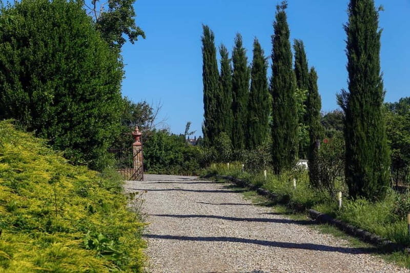 Florence: Horseback Ride with Italian Aperitivo - What to Expect from the Experience