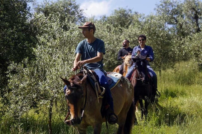 Florence: Horseback Riding & Aperitivo in the Chianti - What the Tour Is All About