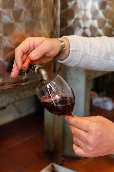 Florence: Horseback Riding & Aperitivo in the Chianti - Who Should Consider This Tour