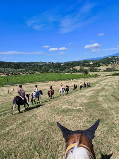 Florence: Horseback Riding Tour with Wine Tasting & Transfer - Key Points
