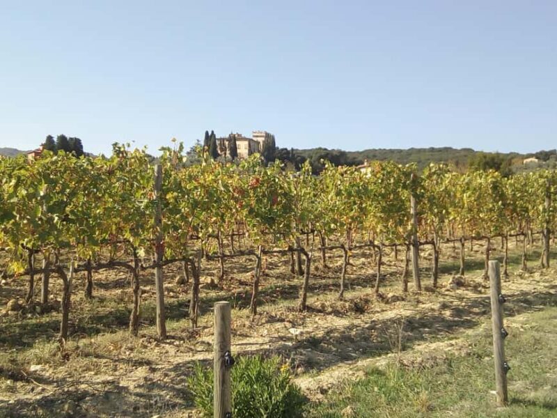 Florence: Horseback Riding Tour with Wine Tasting & Transfer - What to Expect on This Tour