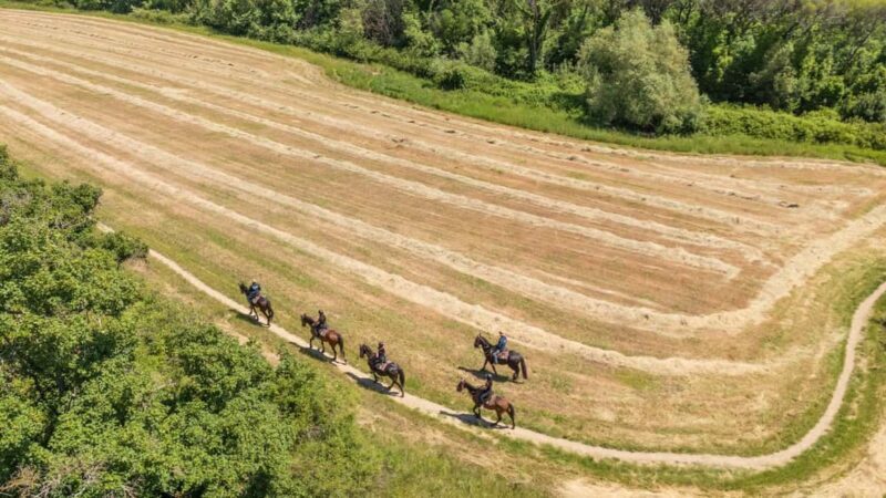 Florence: Horseback Riding Tour with Wine Tasting & Transfer - Frequently Asked Questions