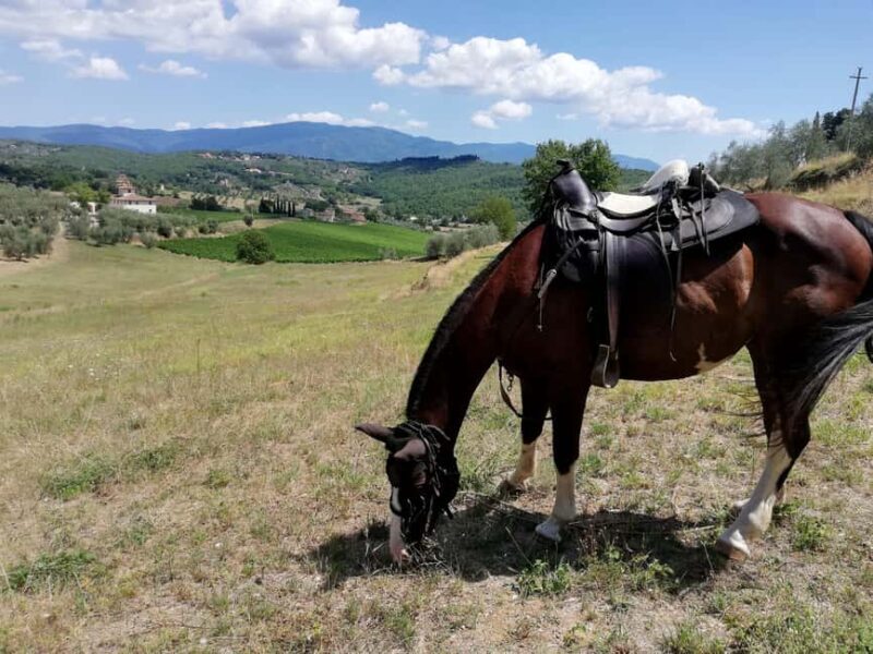 Florence: Horseback Riding Tour with Wine Tasting & Transfer - Final Thoughts