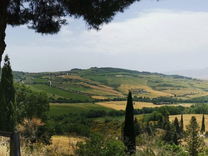 Florence: Montepulciano, Pienza, & Montalcino Private Trip - Practical Details & Tips