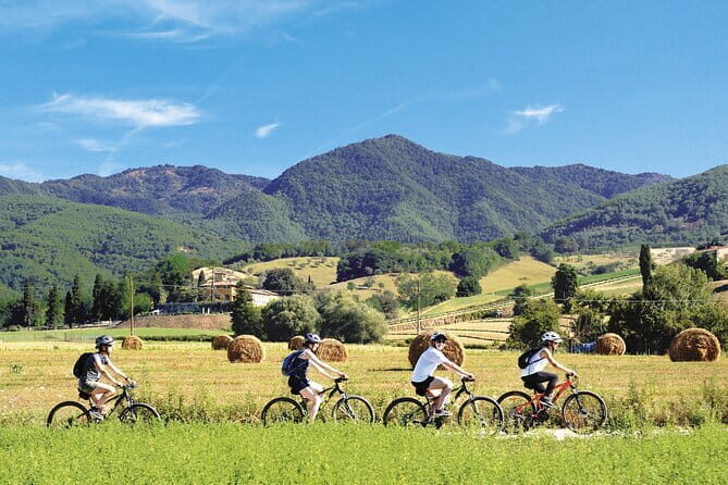 Florence Night Bike Tour with Wine and Aperitivo Picnic included - Practical Details