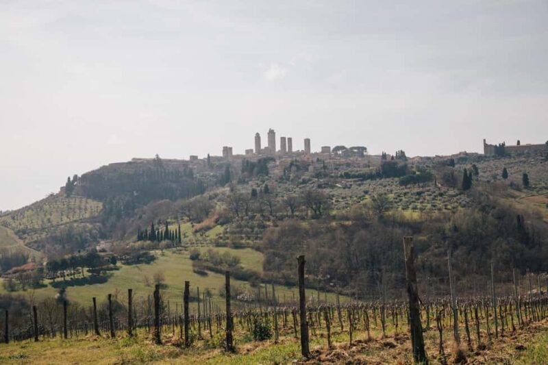 Florence: Pisa, San Gimignano, Siena & Chianti Private Tour - FAQs