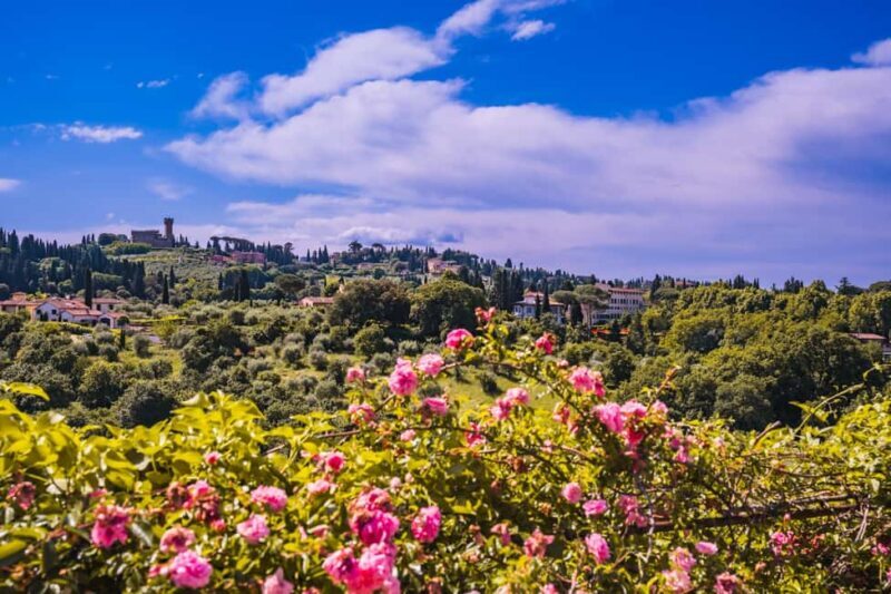 Florence: Pitti Palace and Boboli Gardens Guided Tour - What Past Travelers Are Saying