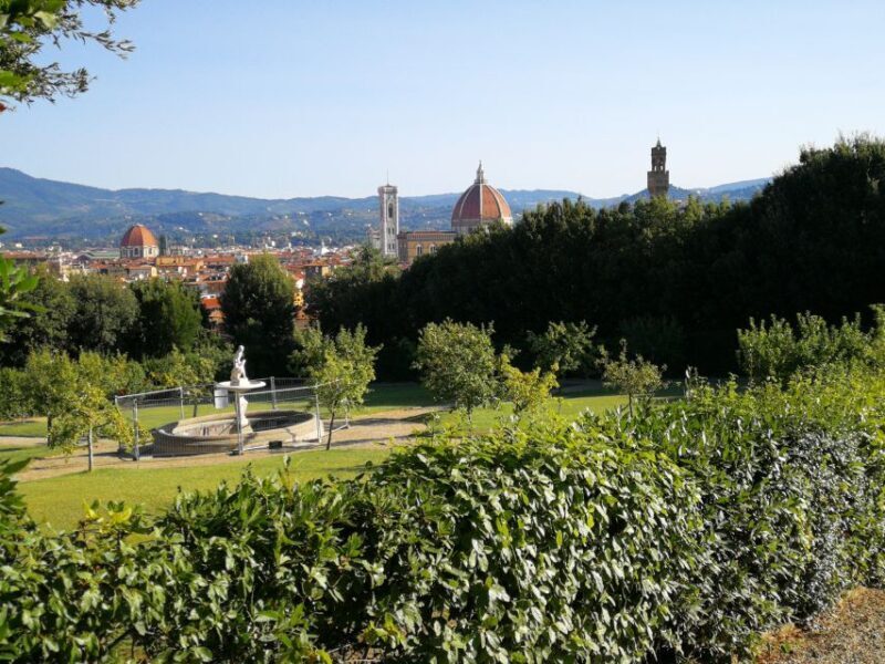 Florence: Pitti Palace, Boboli Garden, Palatine Gallery Tour - Why the Tour Works Well