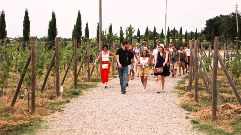 Florence: S. Gimignano, Siena, Chianti Wine Tasting & Lunch - Discovering Siena