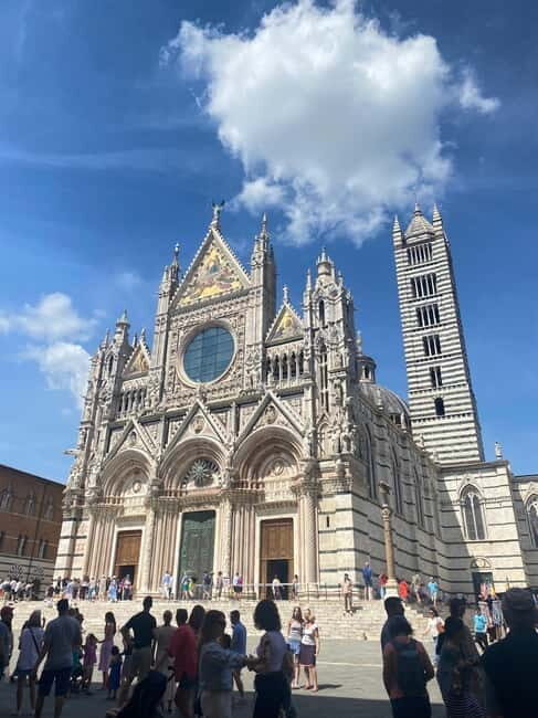 Florence: San Gimignano & Siena Tasting Experience - What the Reviews Say