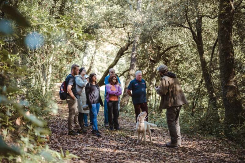 Florence: San Gimignano, Truffle Hunt, Wine Tasting, & Lunch - A Deep Dive into the Day Tour Experience