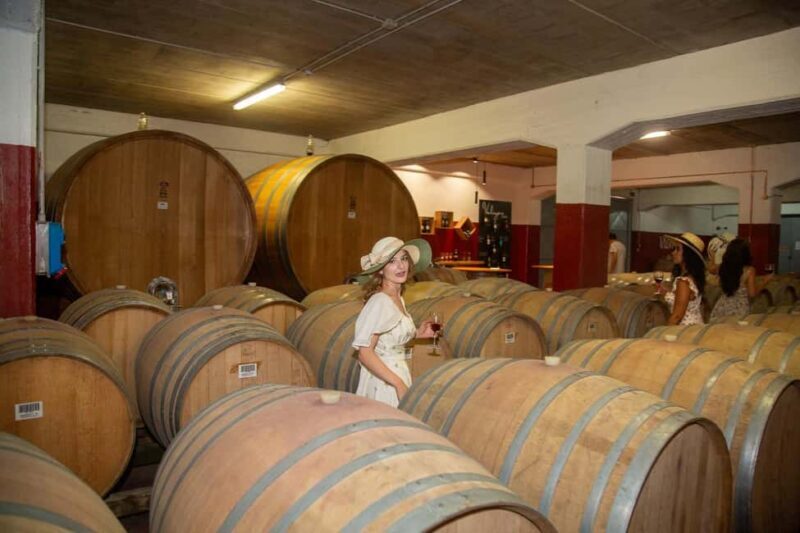 Florence: Secret of Wine and Cheese in a Winery - Key Points