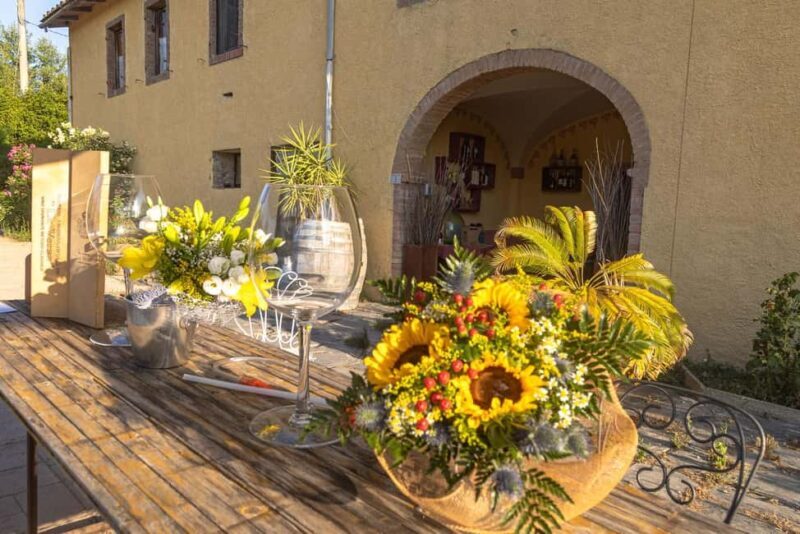 Florence: The secret of wine, cheese and olive oil at a farm - Final thoughts