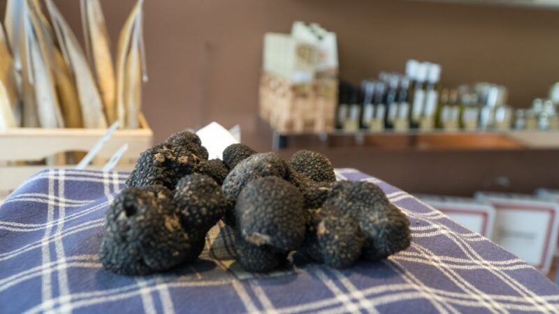 Florence: Truffle Hunting and Vinci with Lunch and Winery - A genuine look at Tuscany’s treasure trove: Truffle hunting, Vinci, and wines