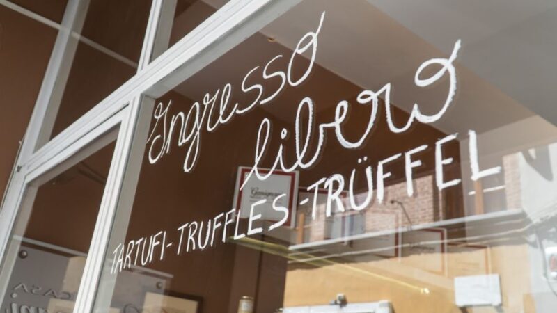 Florence: Truffle Hunting and Vinci with Lunch and Winery - Sampling Chianti: Wine tasting at a family-owned vineyard