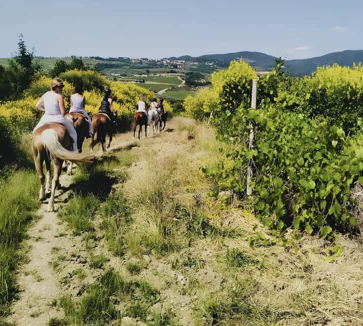 Florence: Tuscan Countryside Horseback Ride - The Ride Itself