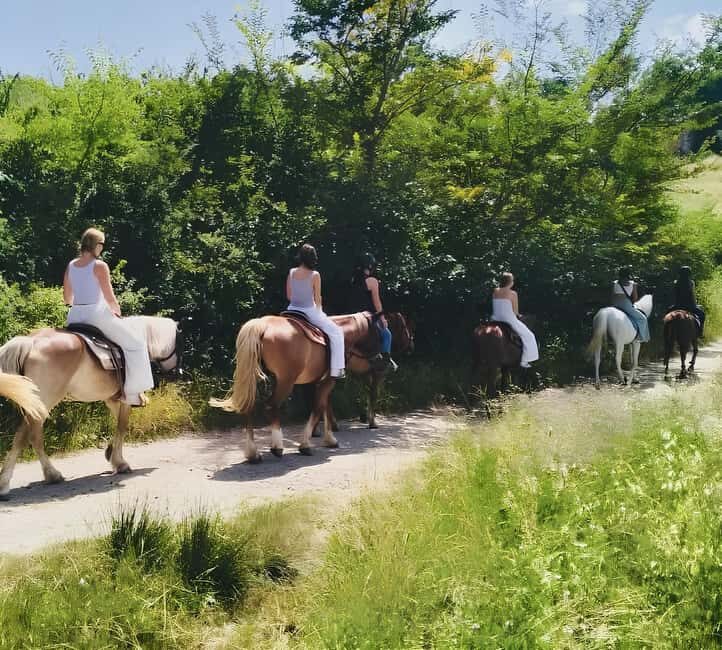 Florence: Tuscan Countryside Horseback Ride - Final Thoughts