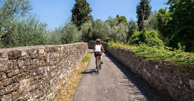 Florence: Tuscany Bike Tour with Wine & Olive Oil - What to Expect from This Tuscany Bike Tour