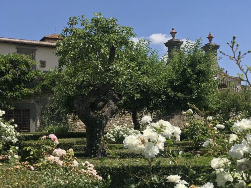 Florence: Tuscany Chianti Winery Private Day-Trip with Lunch - Key Points