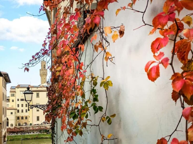 Florence: urban trekking between the historic center and the Tuscan countryside - An Honest Look at the Urban Trekking Tour in Florence