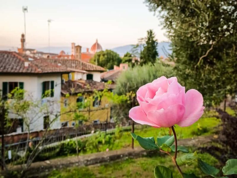 Florence: urban trekking between the historic center and the Tuscan countryside - Final Thoughts
