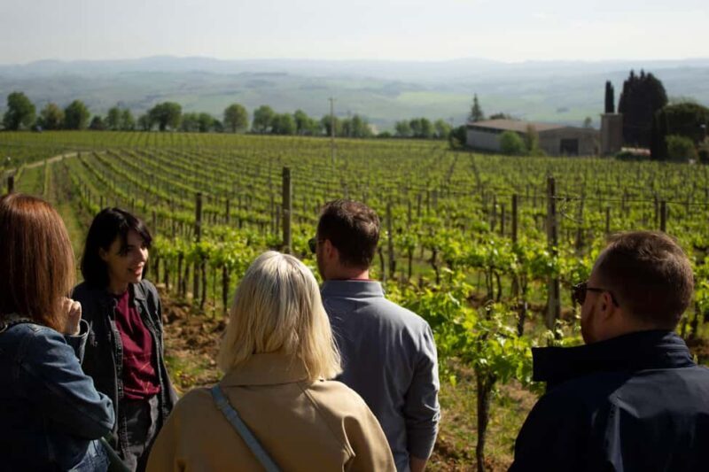 Florence: Valdorcia Wine, Brunello Montalcino, Montepulciano - Who Will Love This Tour?