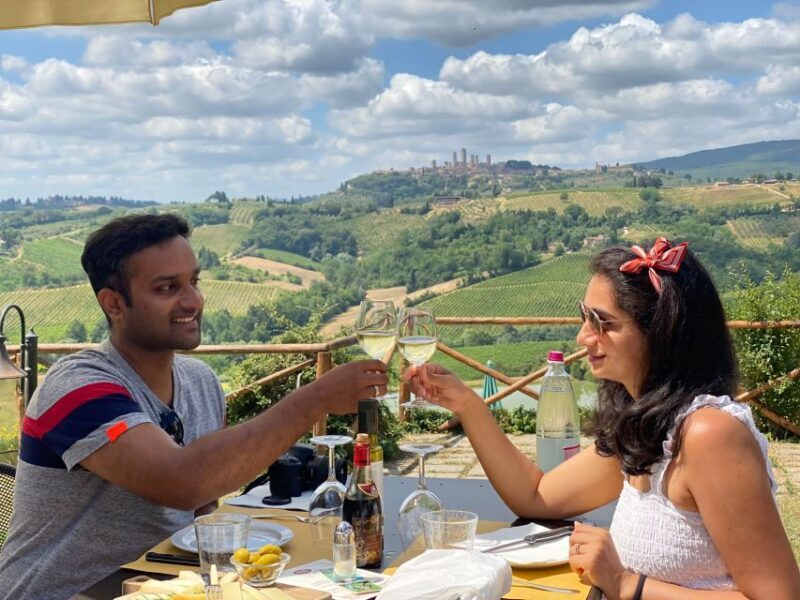 Florence: Wineries, Tastings, Lunch & San Gimignano Day Trip - Who Should Consider This Tour?