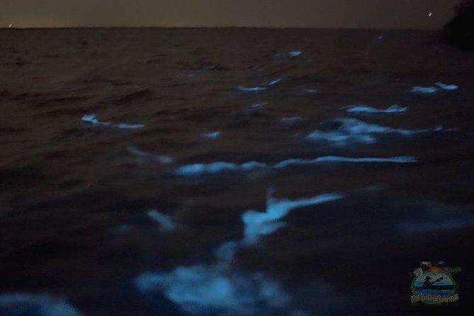 Florida Bioluminescence Clear Kayak tour/ Beacon 42 (Titusville) - Is It Worth the Price?