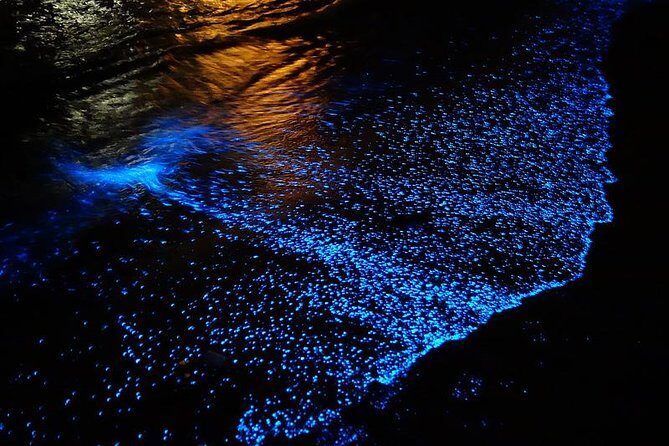 Florida Bioluminescence Kayaking Tour (Titusville) - Who is This Tour Best For?