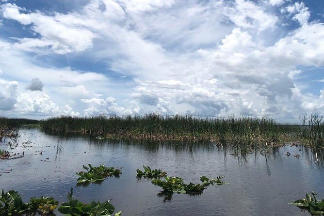 Florida Everglades Airboat Tour and Wild Florida Admission with Optional Lunch - The Experience from the Traveler’s Perspective