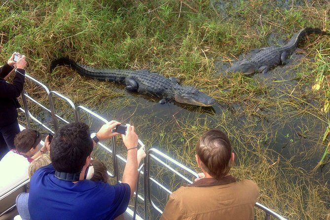 Florida Everglades Airboat Tour and Wild Florida Admission with Optional Lunch - FAQ