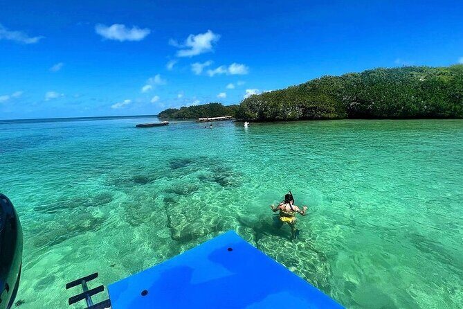 Florida Key Private Islands Exclusive Day Trip from Miami w/activ - The Experience Breakdown