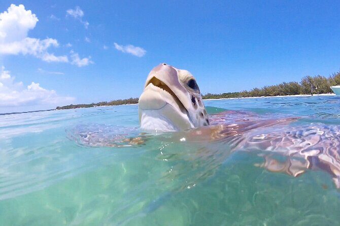 Florida Key Private Islands Exclusive Day Trip from Miami w/activ - FAQ