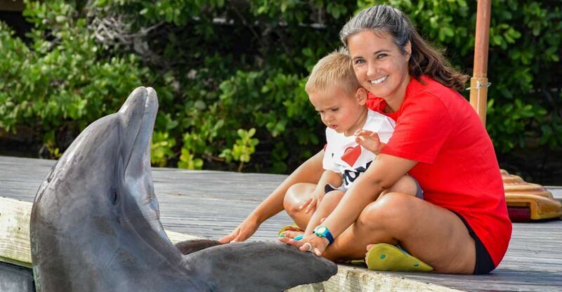 Florida Keys: Dockside Dolphin Experience - The Practical Details