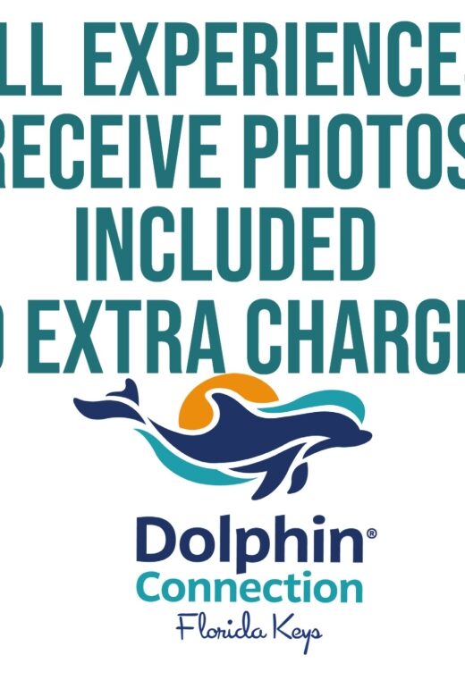 Florida Keys: Dockside Dolphin Experience - Who Is This Experience Best For?