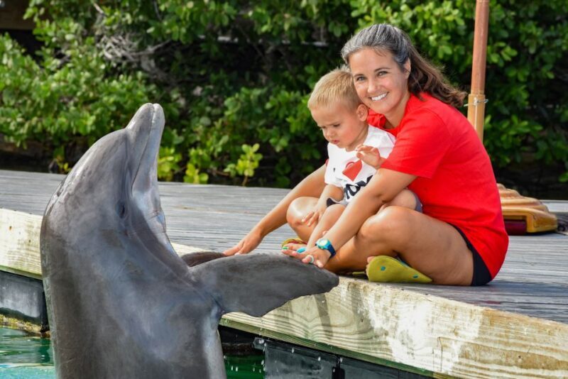 Florida Keys: Dockside Dolphin Experience - FAQs