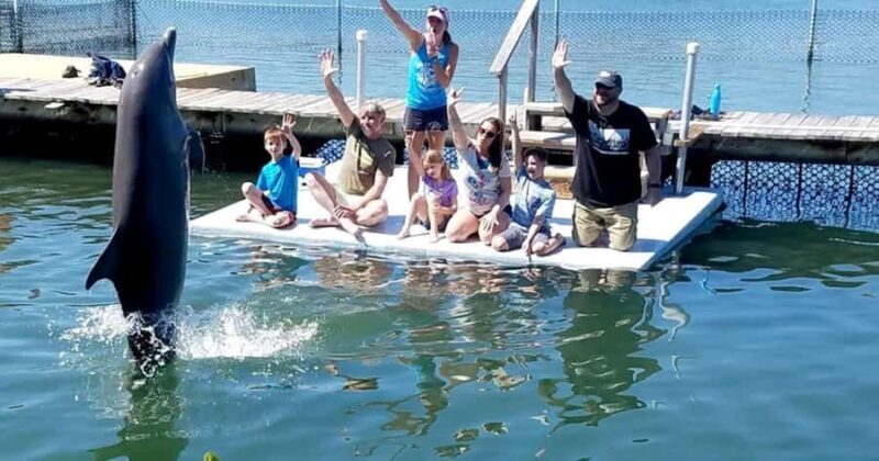 Florida Keys: Dolphin Research Center Day Tour with Lunch - What to Expect During Your Day in the Keys