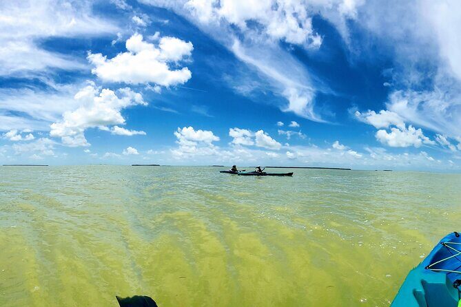 Florida Keys Eco Tour: Snorkel, Kayak, Lunch + Transportation! - Key Points