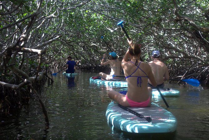 Florida Keys Eco Tour: Snorkel, Kayak, Lunch + Transportation! - What to Expect from the Florida Keys Eco Tour