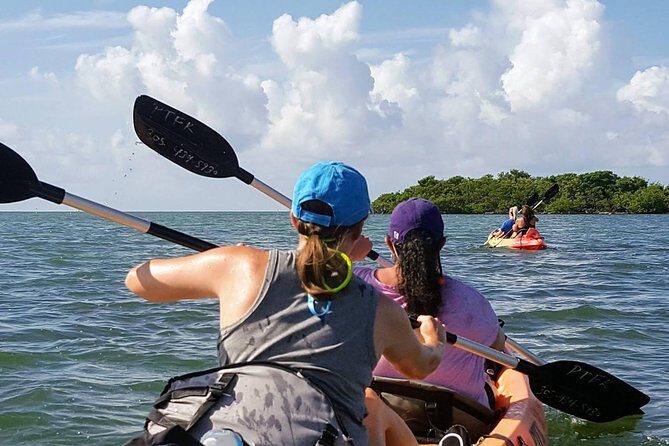 Florida Keys Eco Tour: Snorkel, Kayak, Lunch + Transportation! - The Sum Up