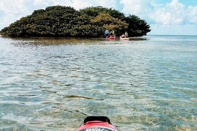 Florida Keys Eco Tour: Snorkel, Kayak, Lunch + Transportation! - FAQ