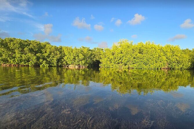 Florida Keys Kayak And Paddleboard Rentals - Introduction to the Experience