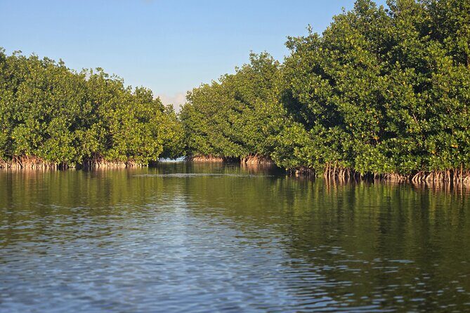 Florida Keys Kayak And Paddleboard Rentals - The Real Guest Experiences
