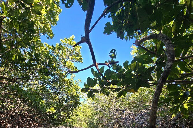 Florida Keys Kayak And Paddleboard Rentals - Practical Details and Considerations